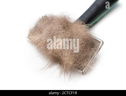 Spazzola Cat con capelli di gatto. Primo piano. Spazzola per la cura del corpo con setole metalliche. Pelo arancione/marrone bloccato sul pettine. Spazzolare i nodi e rimuovere la mano centrale, inferiore o invernale. Foto Stock