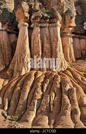 Colonne scanalate e rabboccato con breccias, tufo vulcanico hoodoos a Wheeler Area geologica in San Juan Mountains, Colorado, STATI UNITI D'AMERICA Foto Stock