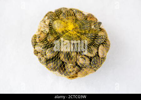 vongole fresche di raccolto crudo nel sacchetto su ghiaccio, primo piano. Foto Stock