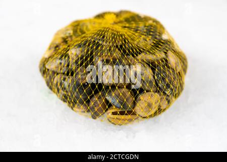 vongole fresche di raccolto crudo nel sacchetto su ghiaccio, primo piano. Foto Stock