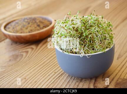 Semi di erba medica germogliati in una ciotola su fondo di legno. Foto Stock