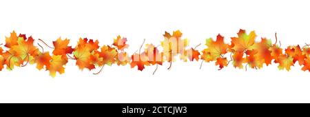 Modello orizzontale senza cuciture Acero brillante essiccato fogliame autunnale isolato su bianco. Simbolo autunnale del disegno grafico. Rosso arancio giallo foglie autunnali con cenere Illustrazione Vettoriale