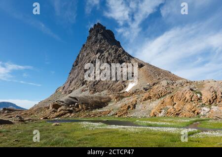 Ripida e ruvida cima di montagna, ai piedi un tranquillo ruscello di montagna fresco con il cottongrass di Scheuchzer Foto Stock