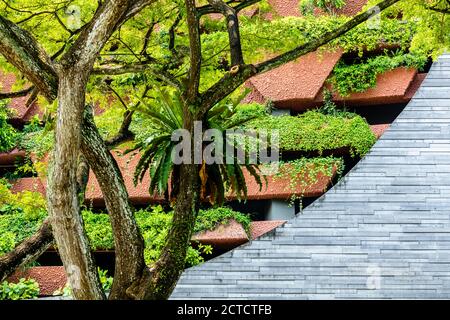 Dettagli esterni del Lee Kong Chian Natural History Museum, Facoltà di Scienze, Università Nazionale di Singapore. Foto Stock