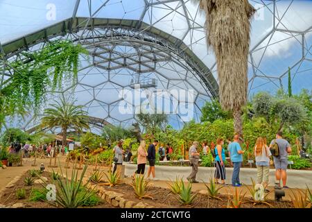 Eden Project interno a Bodelva vicino a St. Austell, Cornovaglia, Inghilterra. Foto Stock