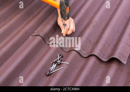 Il tetto installa gli shingles dell'asfalto Ondulin, riparazione del tetto. Foto Stock