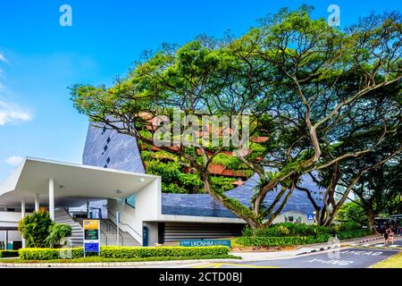 Vista esterna del Museo di Storia Naturale Lee Kong Chian, della Facoltà di Scienze, dell'Università Nazionale di Singapore. Foto Stock