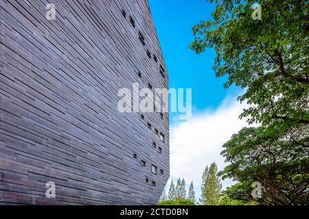 Vista esterna del Museo di Storia Naturale Lee Kong Chian, della Facoltà di Scienze, dell'Università Nazionale di Singapore. Foto Stock