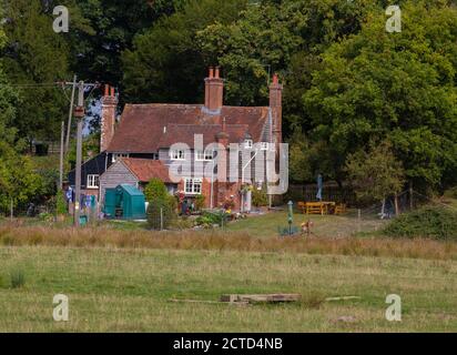 Knepp Estate - progetto di riavvizzimento, abitazioni in vivo sulla tenuta Foto Stock