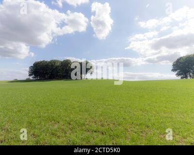 Un campo agricolo nei pressi di Groesbeek, Paesi Bassi Foto Stock
