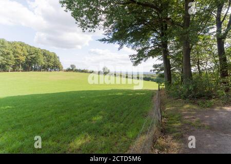 Un campo agricolo nei pressi di Groesbeek, Paesi Bassi Foto Stock