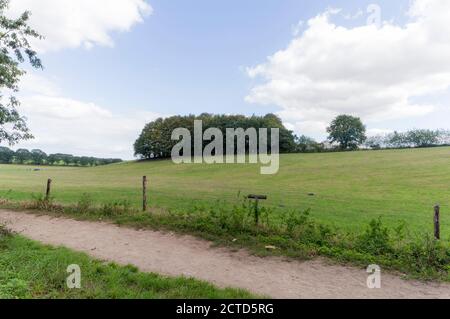 Un campo agricolo nei pressi di Groesbeek, Paesi Bassi Foto Stock