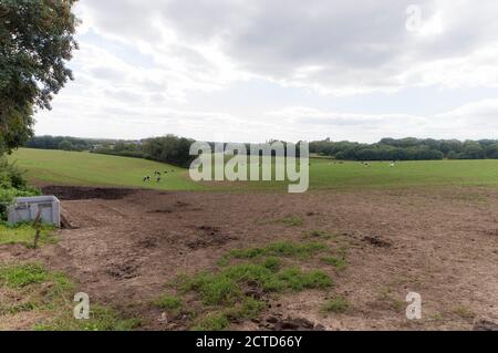 Un campo agricolo nei pressi di Groesbeek, Paesi Bassi Foto Stock