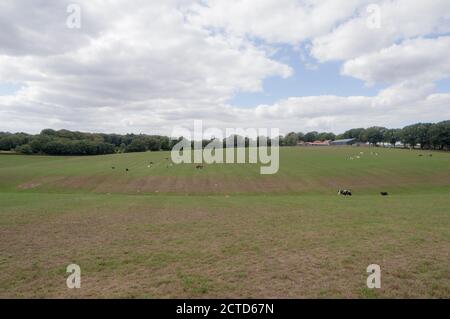Un campo agricolo nei pressi di Groesbeek, Paesi Bassi Foto Stock