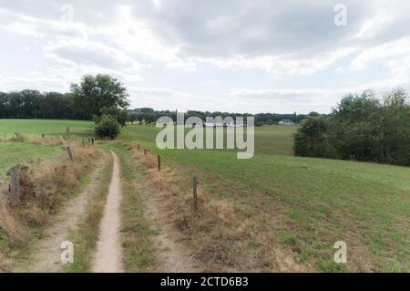 Un campo agricolo nei pressi di Groesbeek, Paesi Bassi Foto Stock