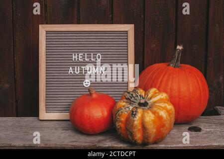 Ciao autunnale segno. Mood board autunno. Composizione autunnale con zucca, bacheca. Atmosfera intima d'autunno. Sfondo rustico. Foto Stock