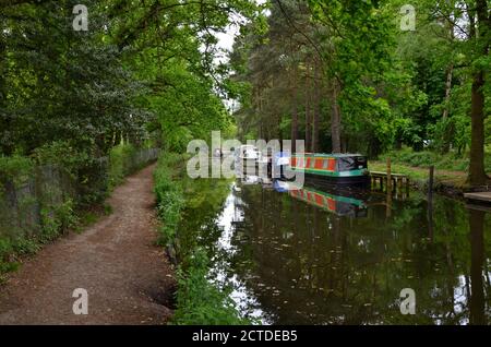 Le barche ormeggiate si riflettono nelle acque ferme del Bellissimo canale Basingstoke in Surrey Foto Stock