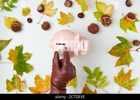 Ciao autunno. Autunno piatto posare con la mano femminile in guanti mettendo moneta in banca piggy, foglie e castagne su sfondo bianco. Foto Stock