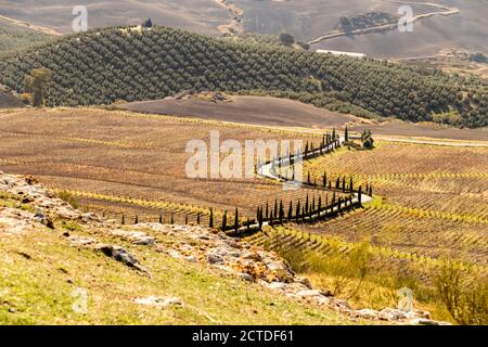 Acinipo, Spagna. Rovine dell'antica città romana di Acinipo, nei pressi di Ronda, Foto Stock