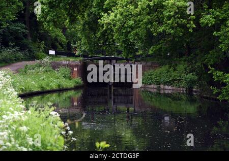 Un cancello di serratura è chiuso sul bel canale di Basingstoke In Surrey Foto Stock