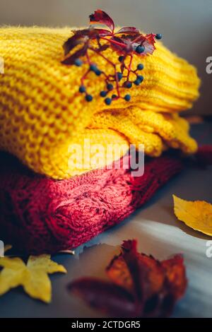 Abiti autunnali. Maglione giallo e bordeaux ricoperto di foglie e bacche. Disposizione piatta, vista dall'alto Foto Stock