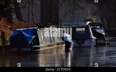 Canal boats in acqua ghiacciata lungo il bel canale di Basingstoke In Surrey Foto Stock