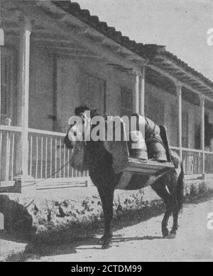 Scenes in Cuba., foto, fotografie, 1899, Hill, Robert Thomas, 1858-1941 Foto Stock