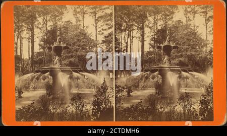 Parco Fontana., immagine, Stereographs, 1850 - 1930 Foto Stock