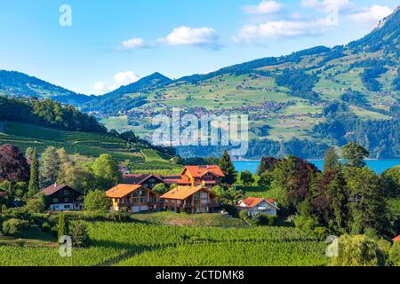 Spiez villaggio sulla riva del lago di Thun nel cantone svizzero di Berna, Spiez, Svizzera. Foto Stock