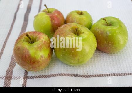 Piccola pila di mele verdi-rosse appena lavate, con gocce d'acqua sulla buccia, adagiata su una tovaglia di tessuto di cialda bianca con bordo incorniciato da marrone Foto Stock