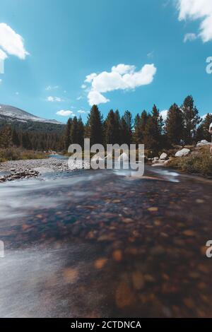 Fiume nel Parco Nazionale di Yosemite Foto Stock