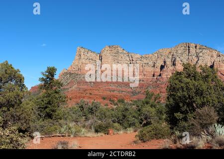 Le montagne di pietra arenaria rossa e pietra calcarea bianca di Sedona con sempreverdi, yucche e scrub a secco spazzolare sul Courthouse Butte Loop Trail in Arizona, U. Foto Stock