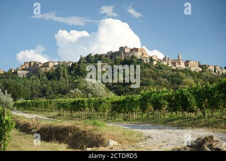 Montagna verde con città storica di Montepulciano, Toscana, Italia, vista dalla valle, un vigneto di fronte, in un pomeriggio soleggiato nel mese di agosto 2020 Foto Stock