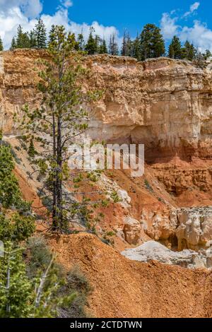 Agua Canyon si affaccia sul Bryce Canyon National Park, Utah Foto Stock