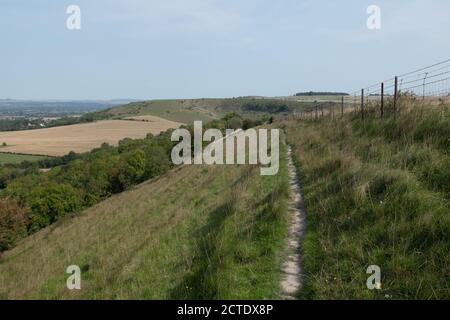 Il bordo settentrionale della pianura di salisbury, vicino a Bratton, Wiltshire, Regno Unito Foto Stock