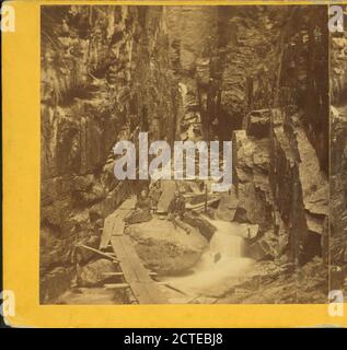 I visitatori di The Flume, 1867., Fifield, H. S., Canyons, New Hampshire, Franconia Notch state Park (N.H. Foto Stock