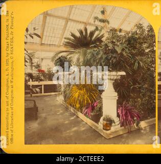 Conservatory., Seaver, C. (Charles), Casa Bianca (Washington, D.C.), Washington (D.C. Foto Stock