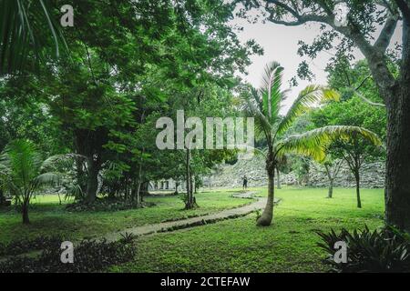 Rovine Maya Muyil, Quintana Roo, Messico Foto Stock