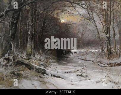 APOL Louis - Inverno a Het Haagse Bos 1 - Scuola olandese - 19 ° secolo Foto Stock