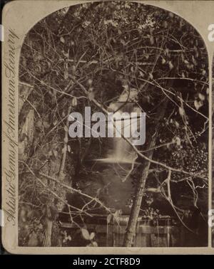 Lower tunnel Cascade, Fall Creek., New York (state), Ithaca (N. Y Foto Stock