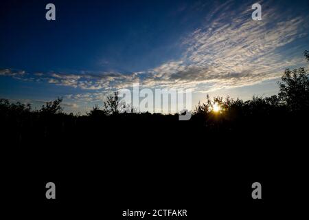 Sole che sorge su alberi in campagna con cielo modato e nuvole Foto Stock