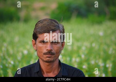 TIKAMGARH, MADHYA PRADESH, INDIA - 15 SETTEMBRE 2020: Coltivatore indiano a campo di sesamo. Foto Stock