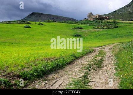 Paesaggio rurale della Sicilia con campo verde, strada sterrata e casa colonica sulla collina sotto il cielo drammatico Foto Stock