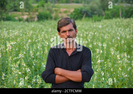 TIKAMGARH, MADHYA PRADESH, INDIA - 15 SETTEMBRE 2020: Coltivatore indiano a campo di sesamo. Foto Stock