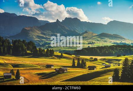 Vista sull'Alpe di Siusi o sull'Alpe di Siusi, capanne in legno. Dolomiti Alpi, Trentino Alto Adige Alto Adige, Italia, Europa Foto Stock