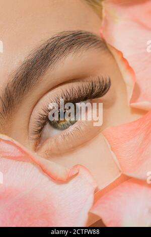 Primo piano dell'estensione delle ciglia degli occhi verdi della donna in petali di fiori. Tenerezza procedura di bellezza moda Foto Stock