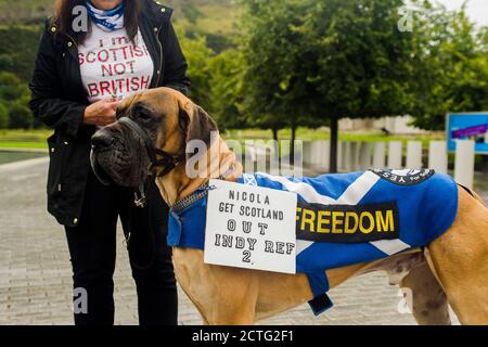 Un gruppo sì pro indipendenza ha una dimostrazione pacifica al di fuori del parlamento scozzese, riguardo Westminster minando il parlamento scozzese per Indy rif. 2. Credito: Euan Cherry Foto Stock