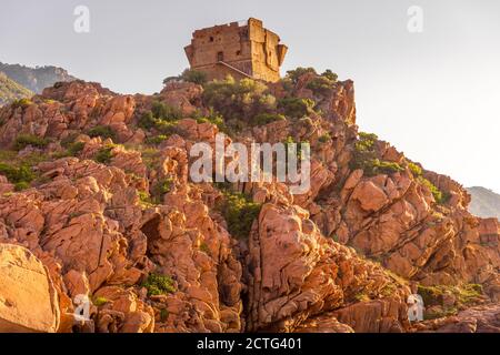 Tramonto nel porto turistico di Porto, Corsica, Francia Foto Stock
