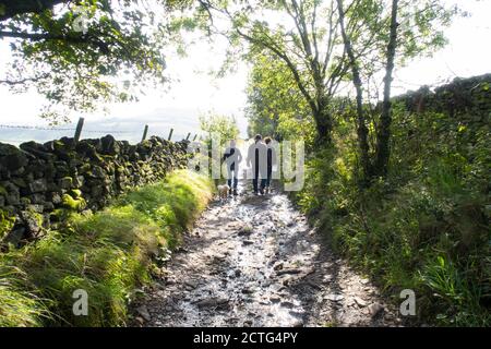 Tre persone che camminano lungo una pista rocciosa di fattoria fiancheggiata da Un muro di pietra a secco e gli alberi nel Peak District con un cane in un giorno estivo Foto Stock