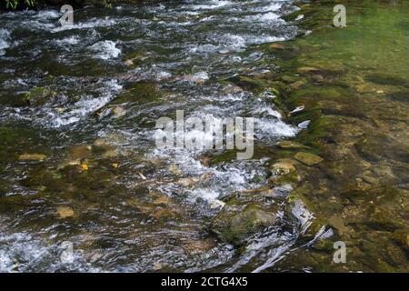 Acque fluviali poco profonde che scorrono su rocce Foto Stock